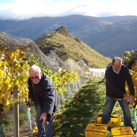 Mt Rosa Lodge Boutique Vineyard Accommodation Wanaka Zewnętrze zdjęcie