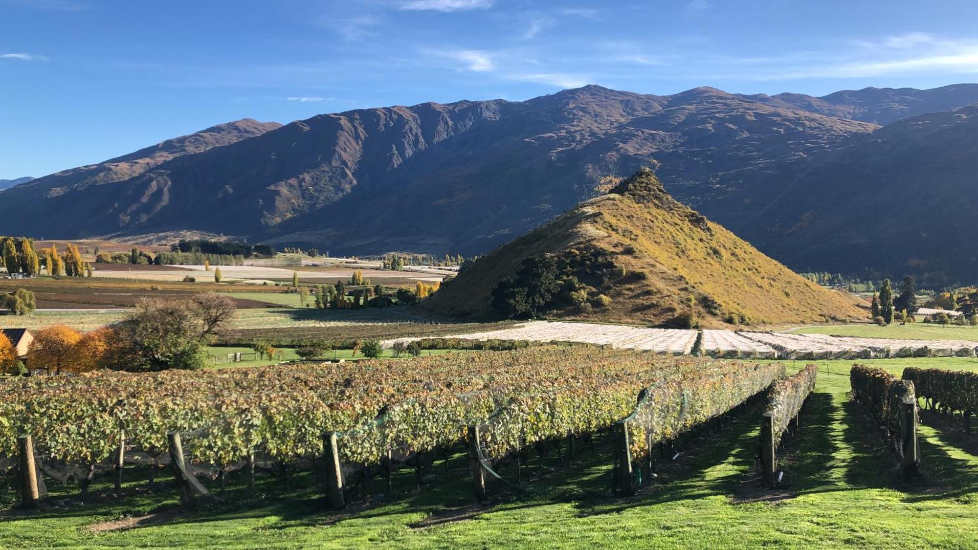 Mt Rosa Lodge Boutique Vineyard Accommodation Wanaka Zewnętrze zdjęcie