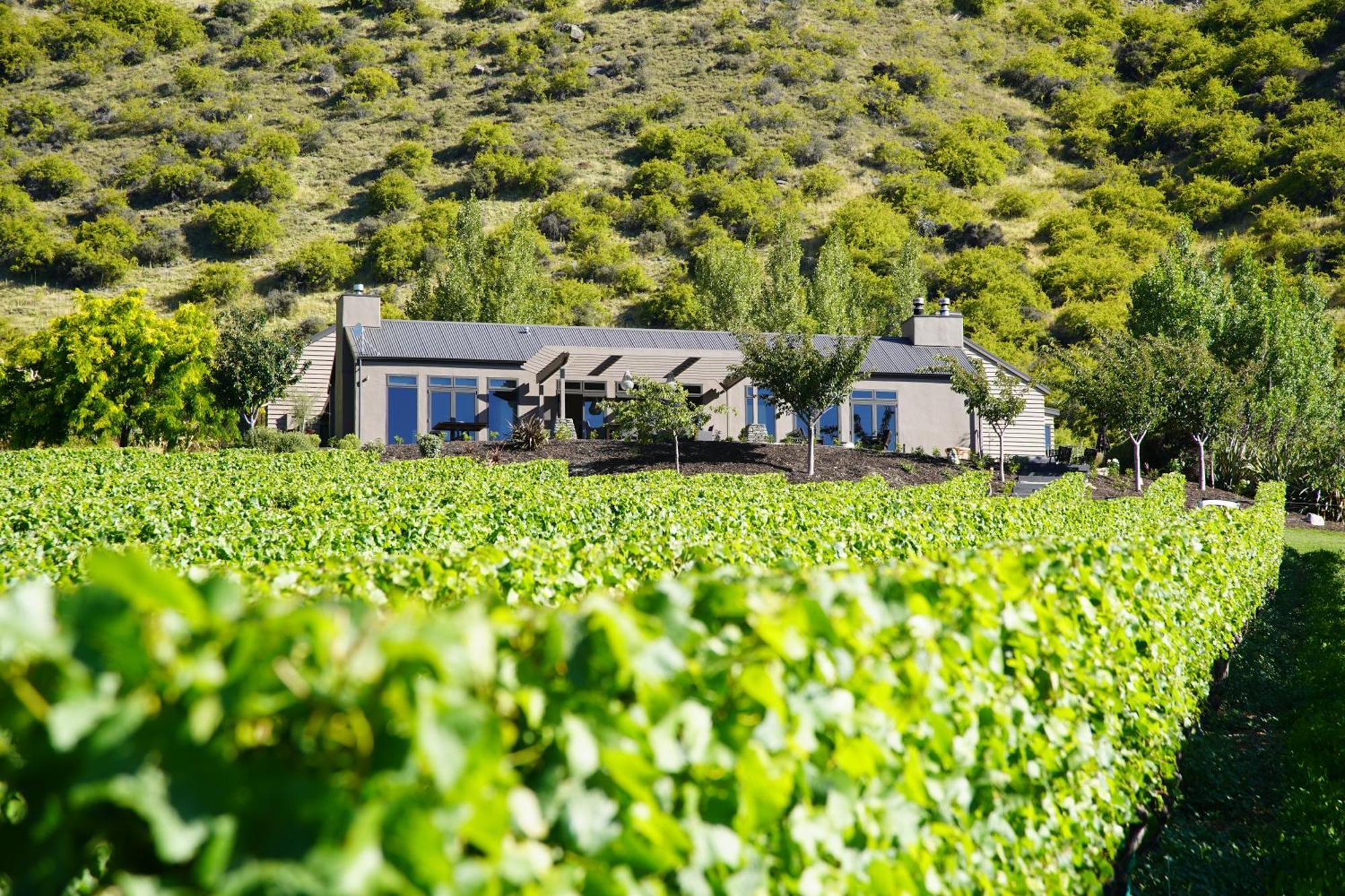 Mt Rosa Lodge Boutique Vineyard Accommodation Wanaka Zewnętrze zdjęcie