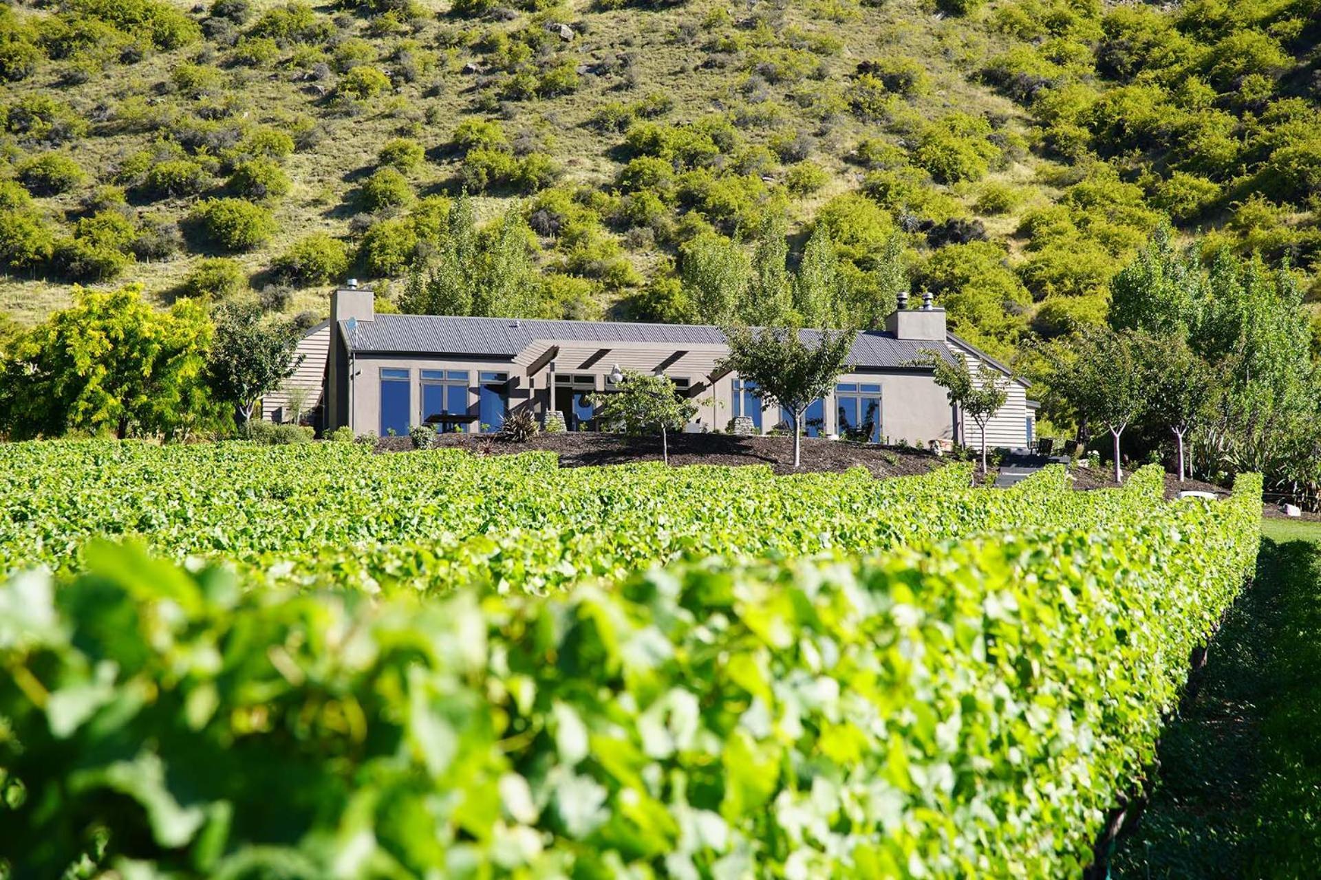 Mt Rosa Lodge Boutique Vineyard Accommodation Wanaka Zewnętrze zdjęcie