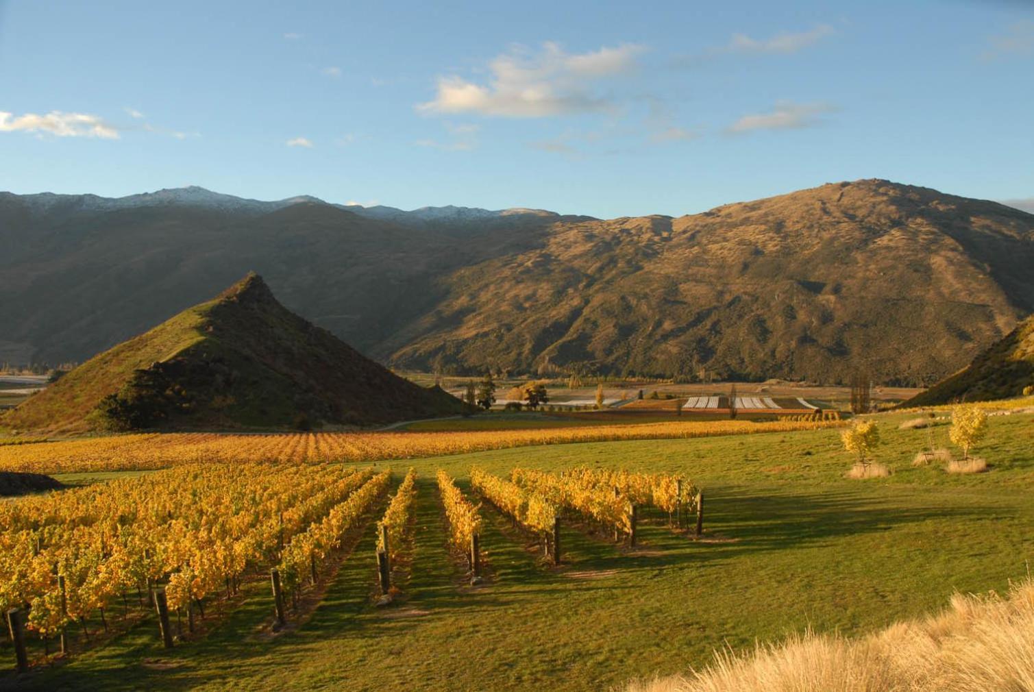Mt Rosa Lodge Boutique Vineyard Accommodation Wanaka Zewnętrze zdjęcie