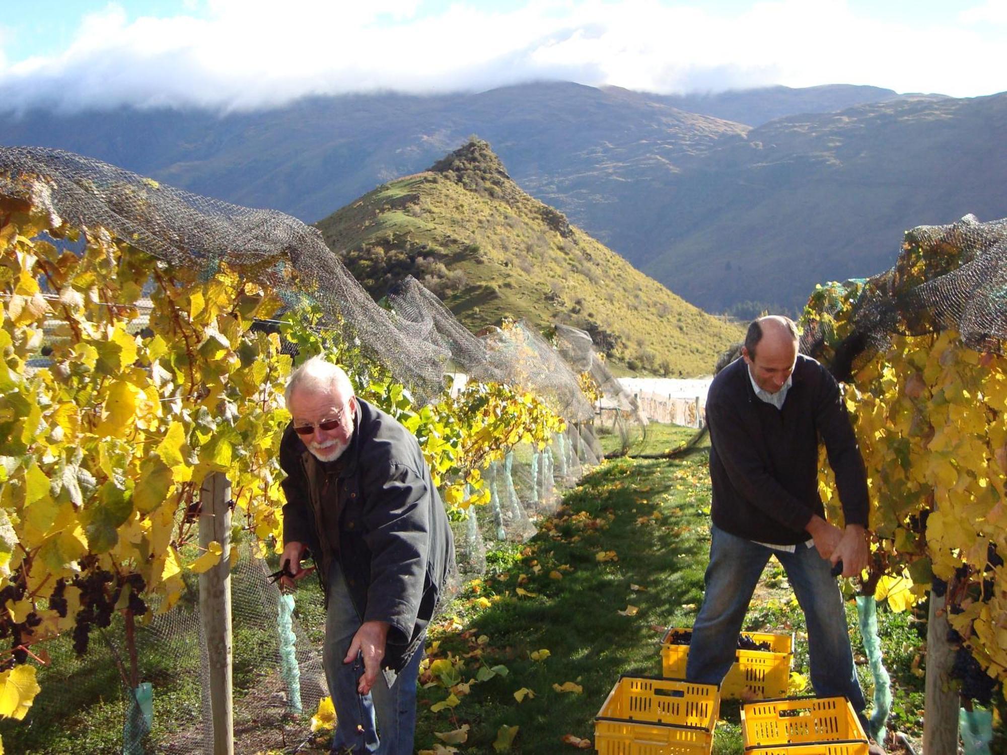 Mt Rosa Lodge Boutique Vineyard Accommodation Wanaka Zewnętrze zdjęcie