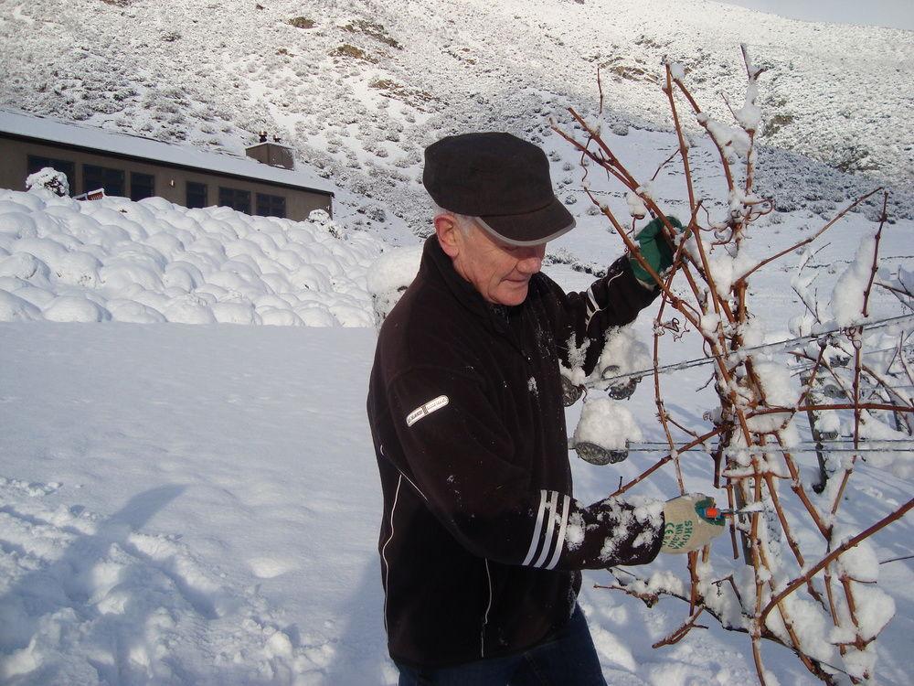 Mt Rosa Lodge Boutique Vineyard Accommodation Wanaka Zewnętrze zdjęcie