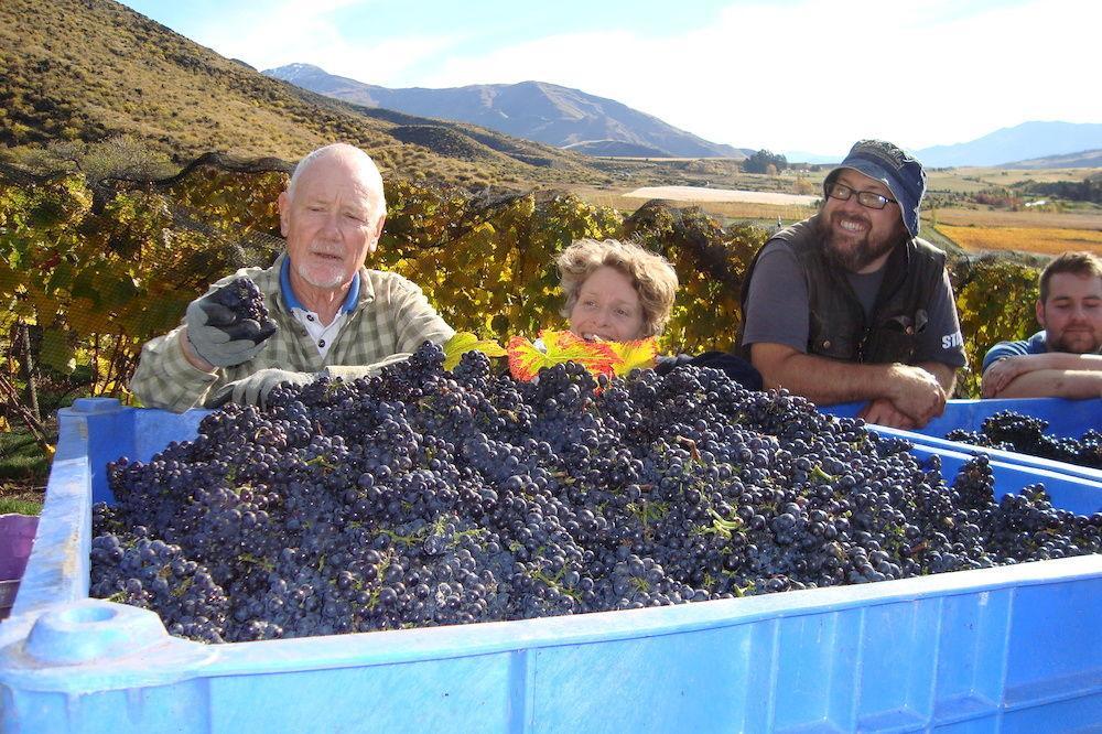 Mt Rosa Lodge Boutique Vineyard Accommodation Wanaka Zewnętrze zdjęcie