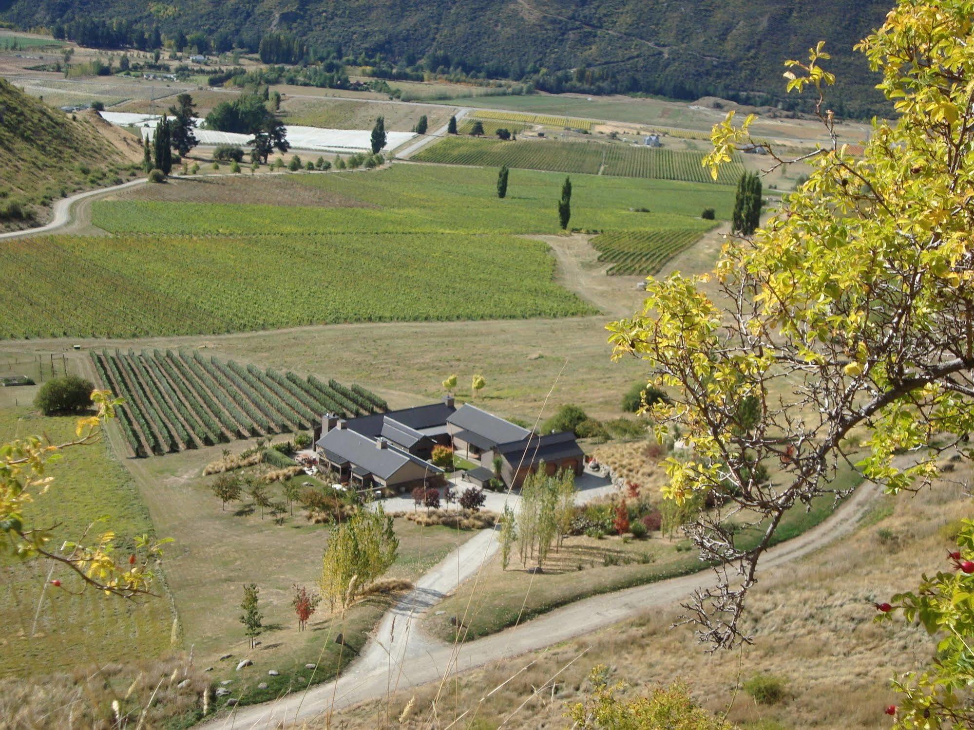 Mt Rosa Lodge Boutique Vineyard Accommodation Wanaka Zewnętrze zdjęcie