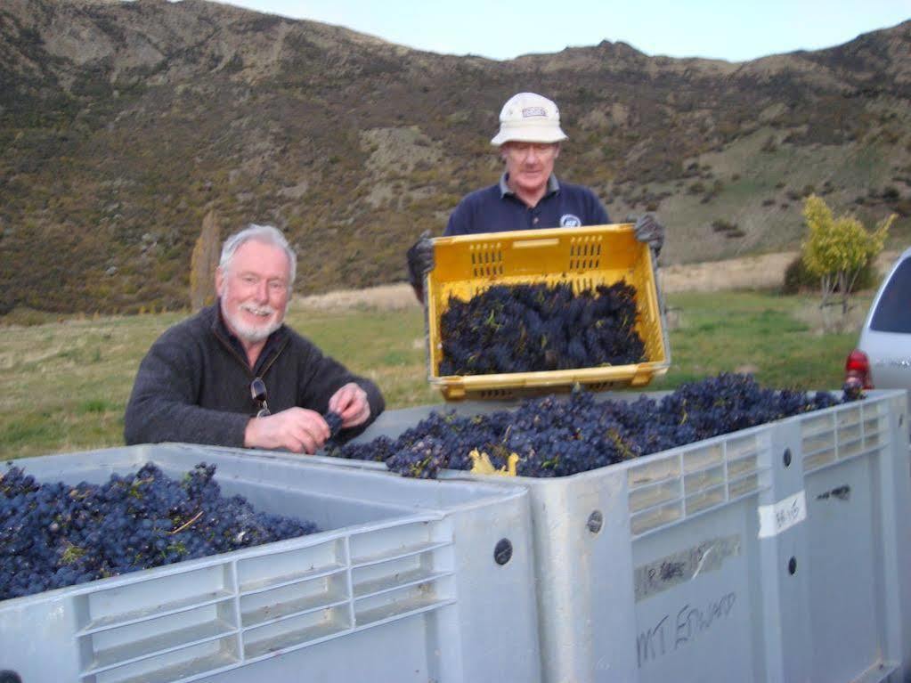 Mt Rosa Lodge Boutique Vineyard Accommodation Wanaka Zewnętrze zdjęcie